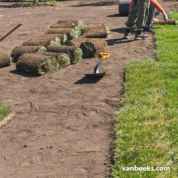 Kentucky Blue Grass Sod